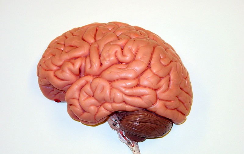 Şanse noi pentru terapia contra Alzheimer
