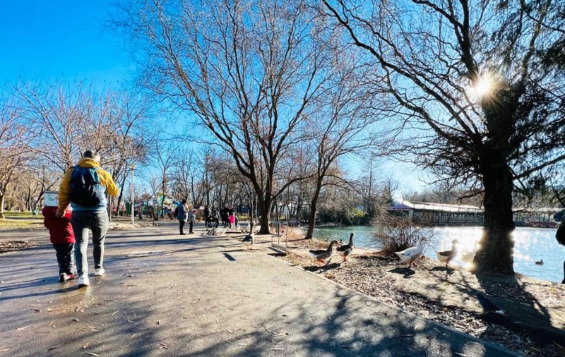 Descoperire îngrijorătoare în Parcul Tineretului din București: „Nu duceți copiii acolo!"