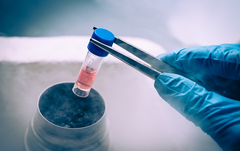 Premieră medicală în România. Transplant cu celule stem pentru o fetiță diagnosticată cu autism