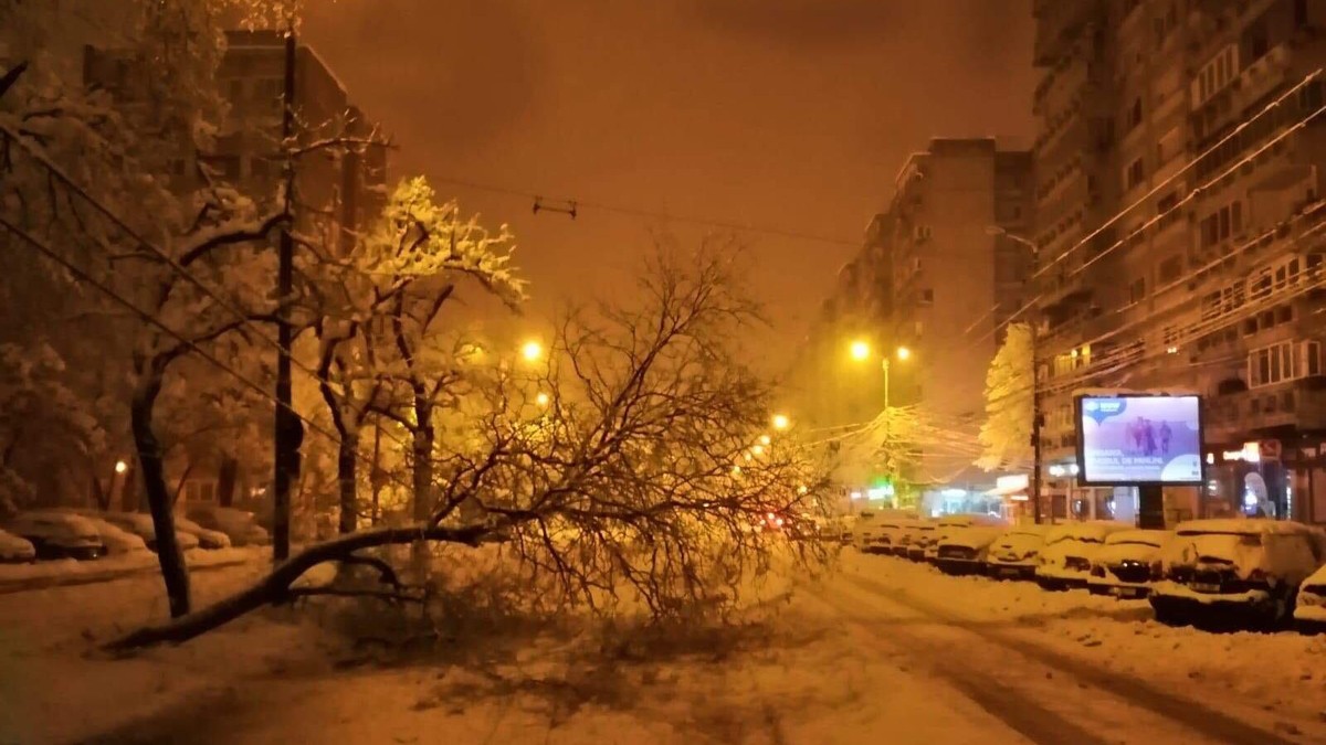 Arhiva foto