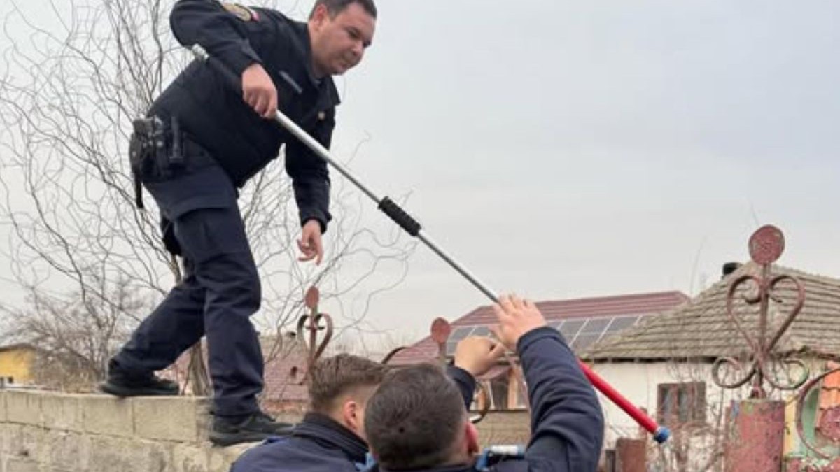 Jandarmii s-au urcat pe gard cu dispozitive speciale