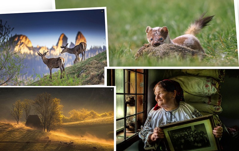 Lecții și emoții din culisele „Fotogeografica”. „Fiecare secundă este unică în fotografie”