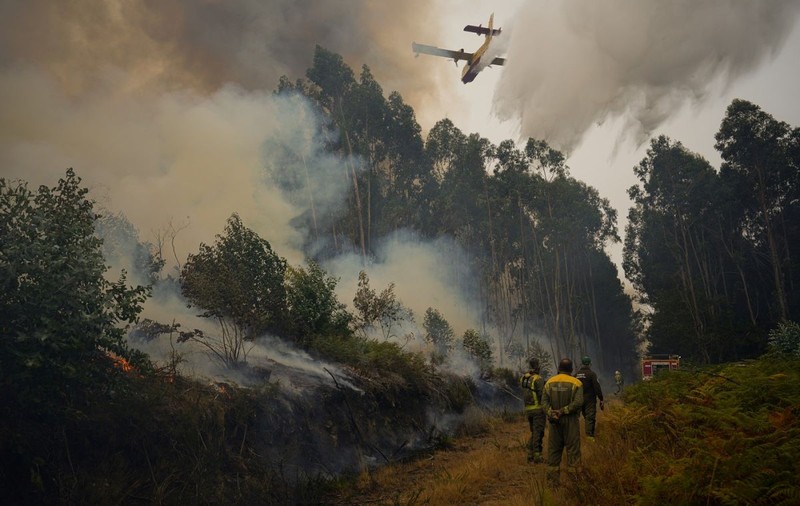 Șapte morți, între ei trei pompieri, și 40 de răniți, în incendiile de vegetație din Portugalia. Guvernul a declarat situație de „calamitate”