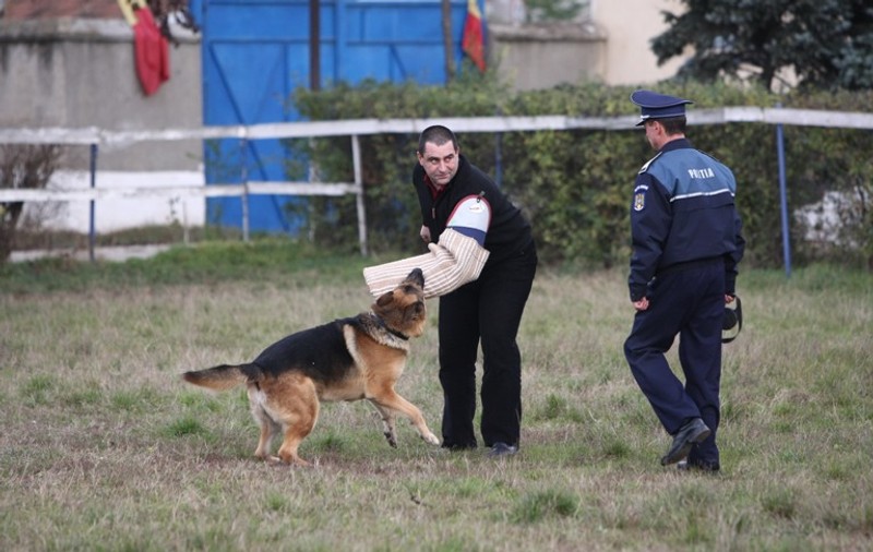 Câinii poliţişti de peste Prut, antrenaţi la Sibiu