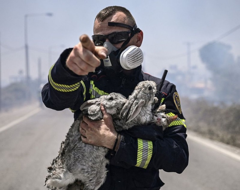 Imaginile cu pompierii români care salvează o pisică și doi iepuri din incendiile din Rodos s-au viralizat pe internet