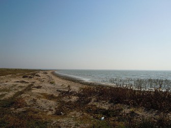 Limanul Kunduk, sau Sasik