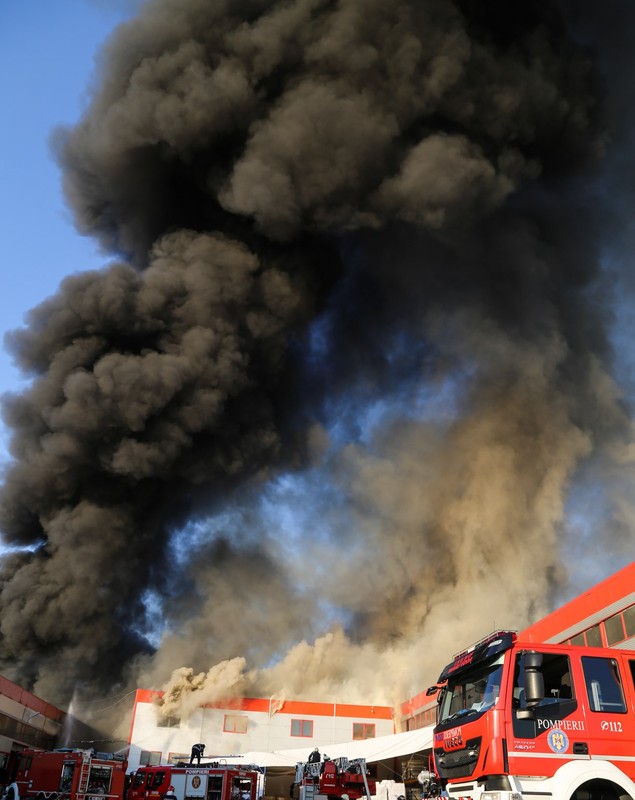 VIDEO | Un pompier și-a riscat viața pentru a salva o pisică dintr-un incendiu puternic. “Vă rog să-mi spuneți că trăiește”
