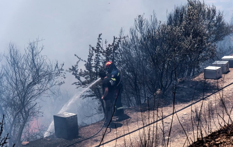 Grecia este afectată de un nou val de caniculă. A crescut și riscul izbucnirii unor incendii de vegetație