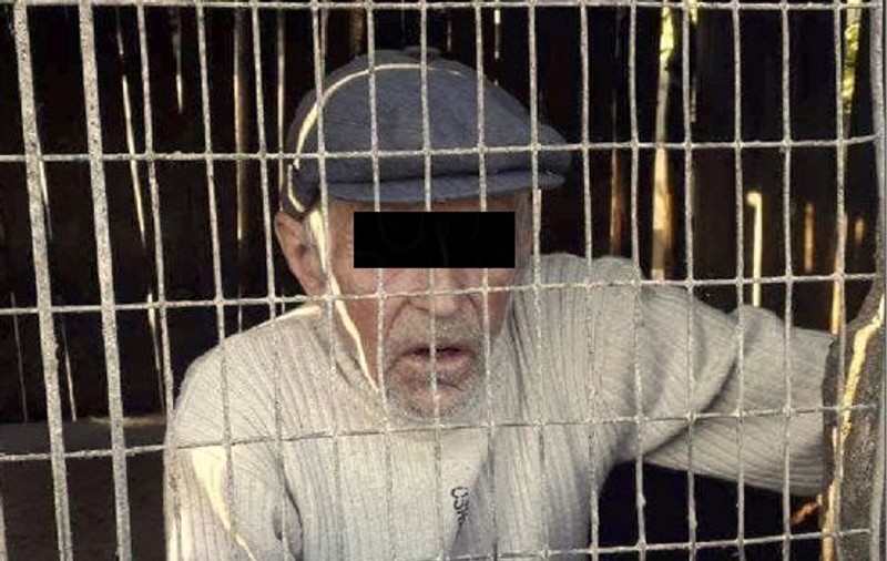 Un bătrân din Vaslui a fost prins în cotețul scroafei. „A început să o bâjbâie sub coadă”
