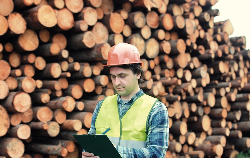 Ce salarii poți să câștigi în industria lemnului: un șef de atelier încasează 4.300 de lei, un inginer de calitate, 5.000 de lei