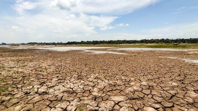 seceta desertificare romania