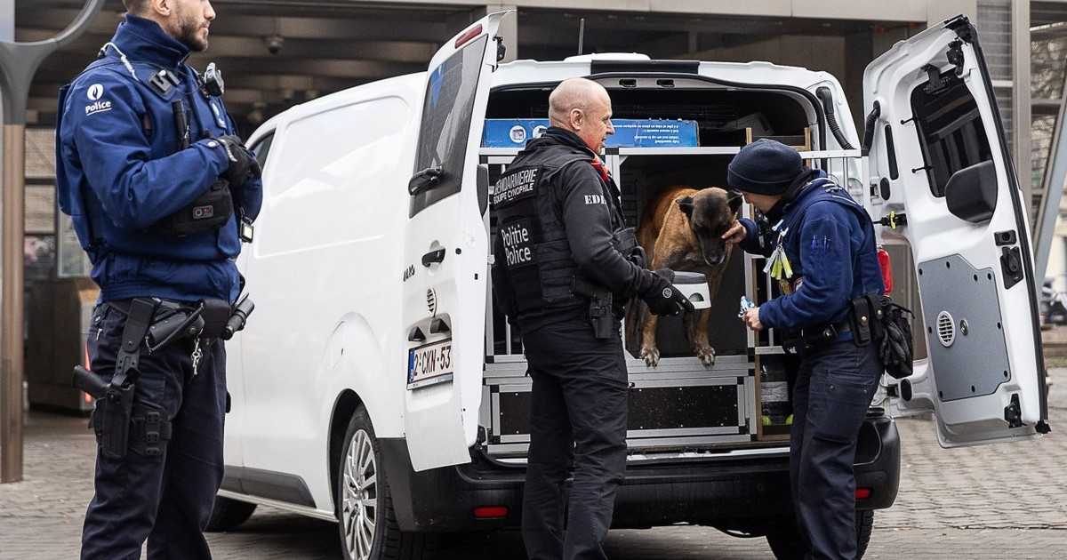 Imagine ilustrativă cu polițiștii din Belgia
