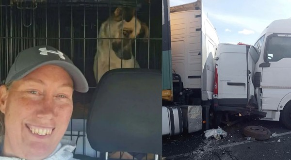 O femeie cu șapca, aflata într-un microbuz de transport câini, un animal se vede printre gratii// Un microbuz alb strivit de două autotrenuri albe