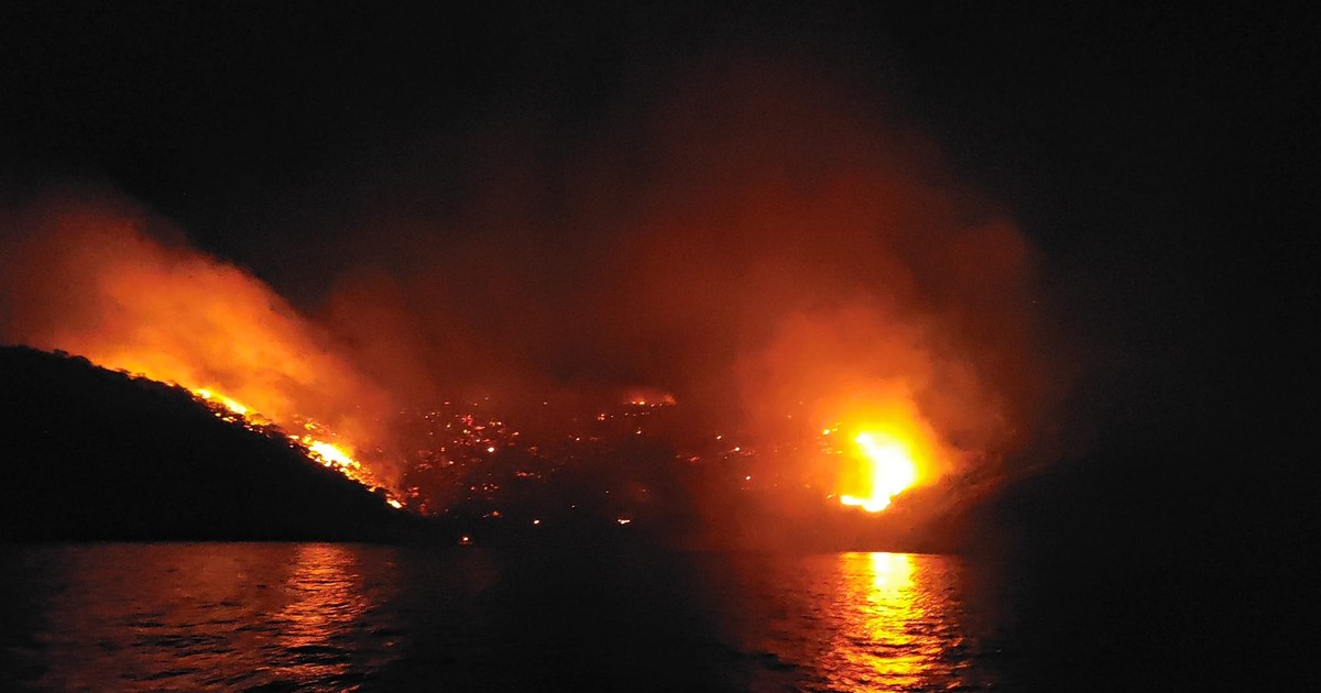 Arhiva foto