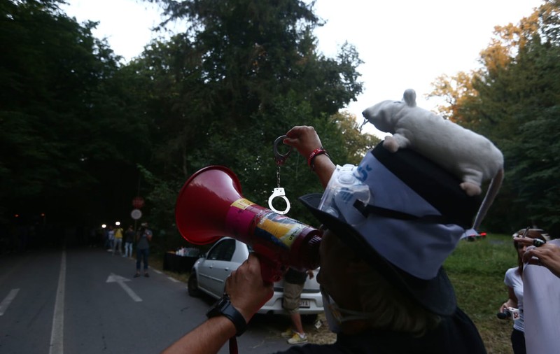 VIDEO/ O noapte furtunoasă. Nuntaşii lui Dragnea Jr. versus protestatarii anti-PSD: Nervi, înjurături şi provocări