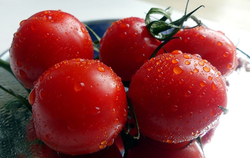 Primele roșii românești din programul tomatelor au ajuns în piețe