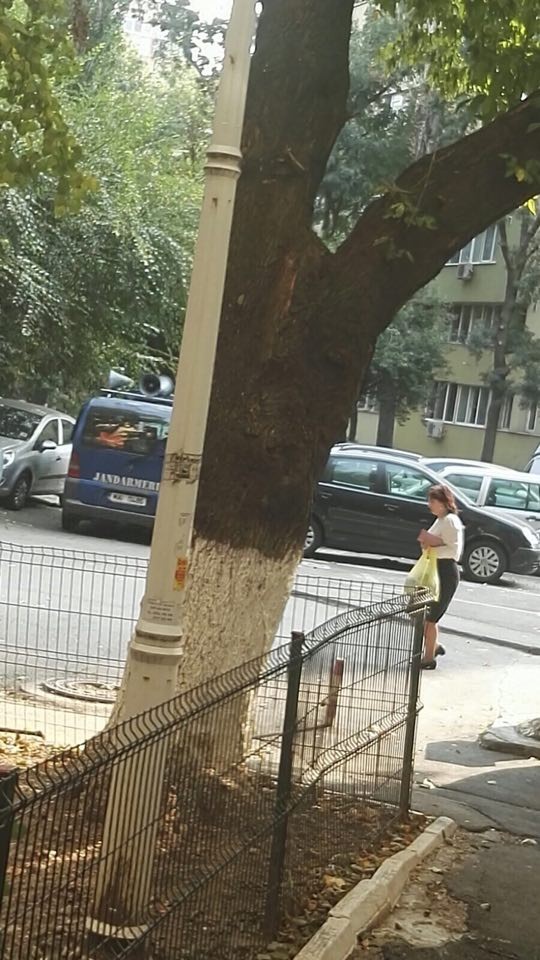 Jandarmii i-au avertizat pe bucureșteni că vine vijelia, cu megafoanele
