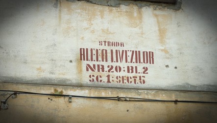 Arhiva foto
