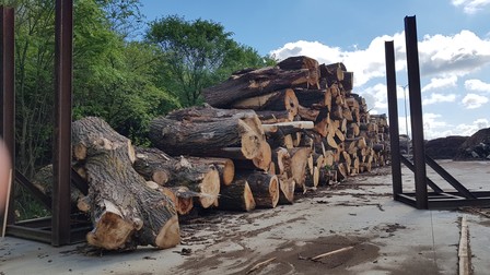 Curtea fabricii Kronospan din Braşov