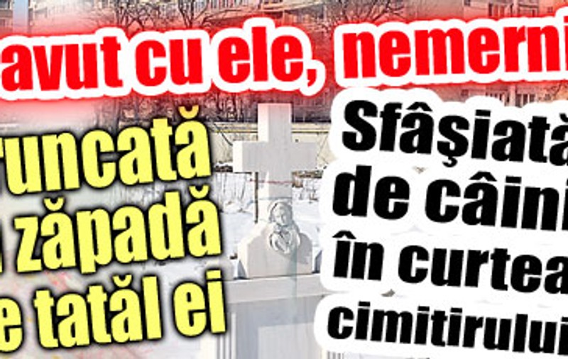 Ce-aţi avut cu ele, nemernicilor?