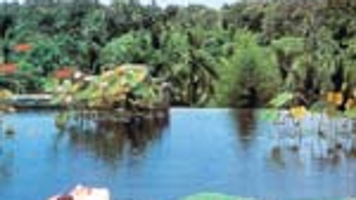 Arhiva foto