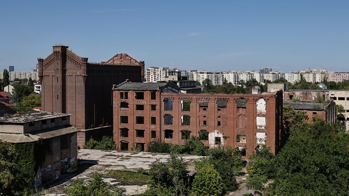 moara lui assan VLD 0205