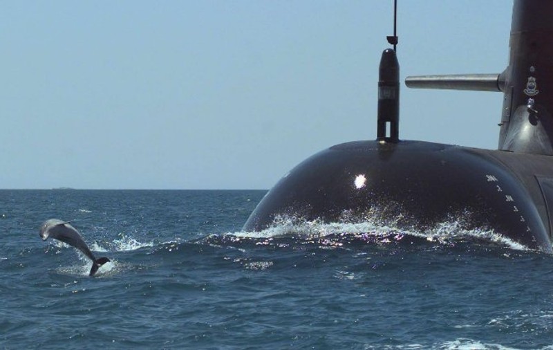 DELFINI UCIGAŞI, antrenaţi militar de Marina ucraineană, AU DEZERTAT! Trei "ASASINI" PERICULOŞI se află acum în libertate!
