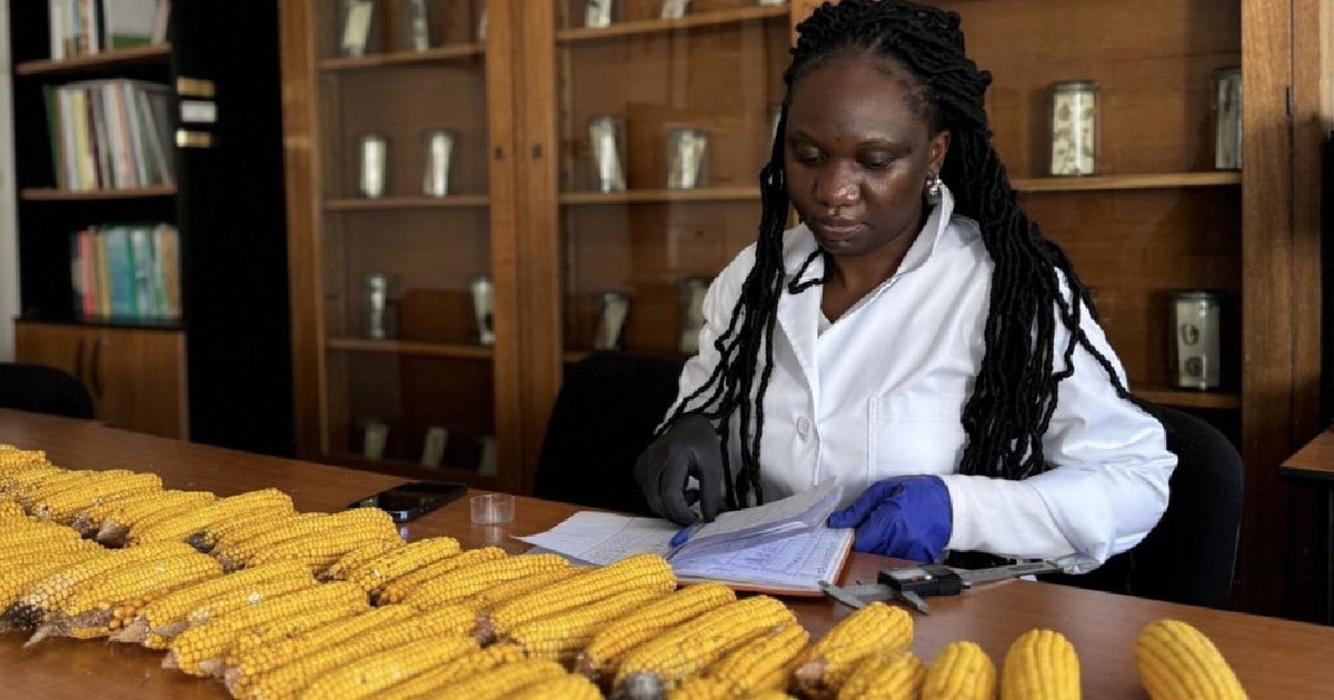 Aline Yangbanda, studentă la Facultatea de Agricultură din Timișioara, imbracata cu halat alb și mănuși albastre, scrie pe un caiet.