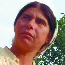 Arhiva foto