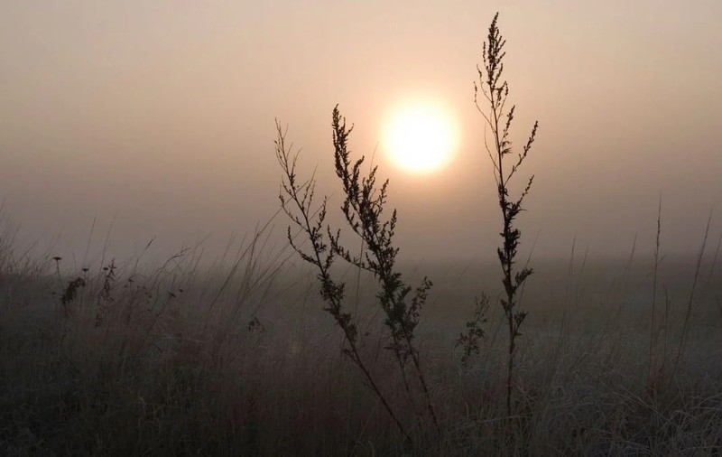 Cum va fi vremea în perioada 13 ianuarie - 9 februarie. Temperaturi prea mari pentru mijlocul iernii