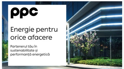 PPC pentru antreprenori