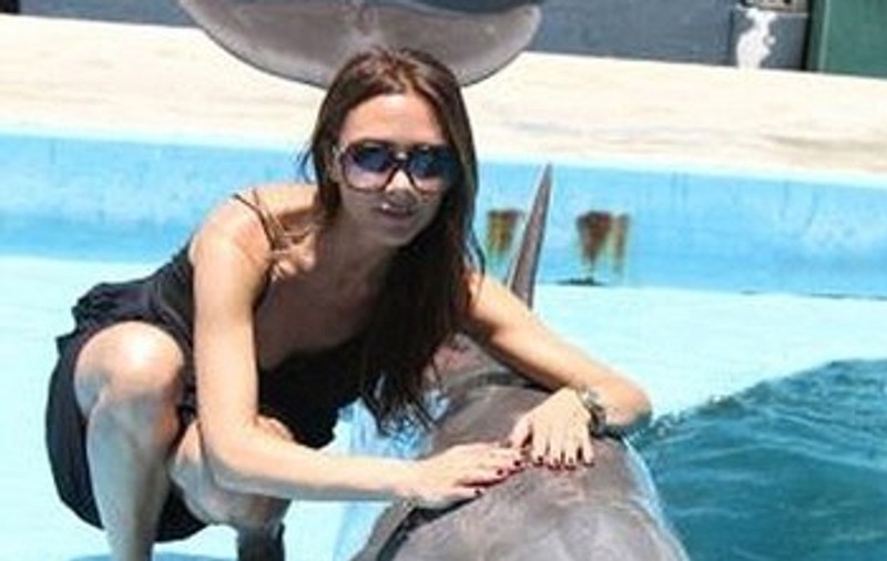 Victoria Beckham, într-o ipostază inedită pe Twitter 