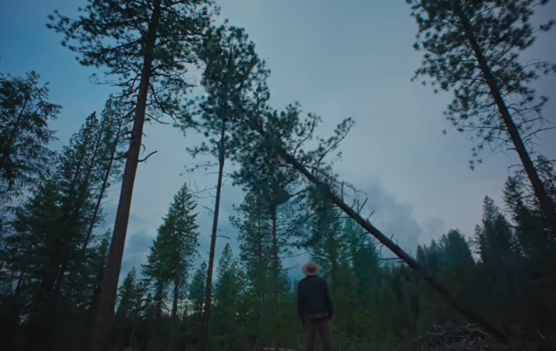 „Cel mai bun film din 2025”: adaptarea literară care i-a încântat pe abonații Netflix și i-a impresionat și pe critici |VIDEO
