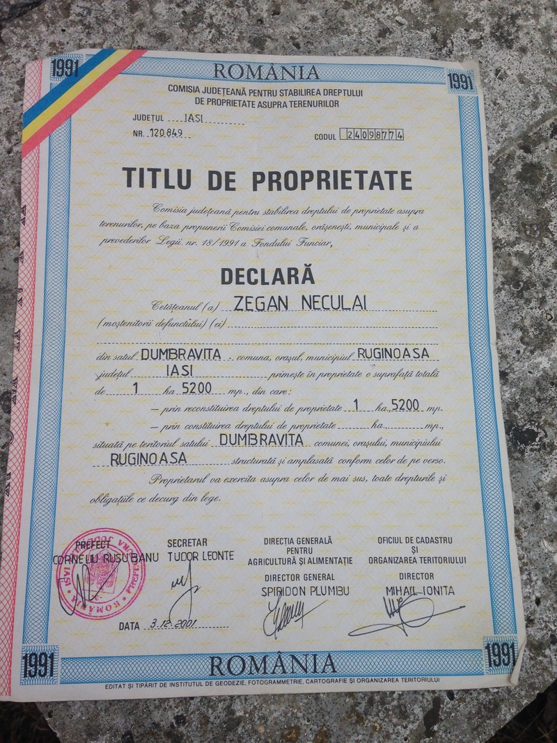 Arhiva foto