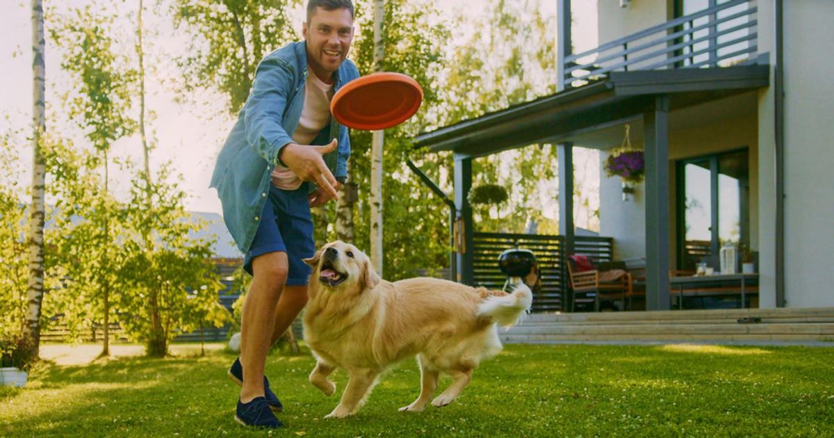 Care sunt câinii care trăiesc cel mai mult - Imagine cu un bărbat care se joacă într-o curte cu un câine Golden Retriever.