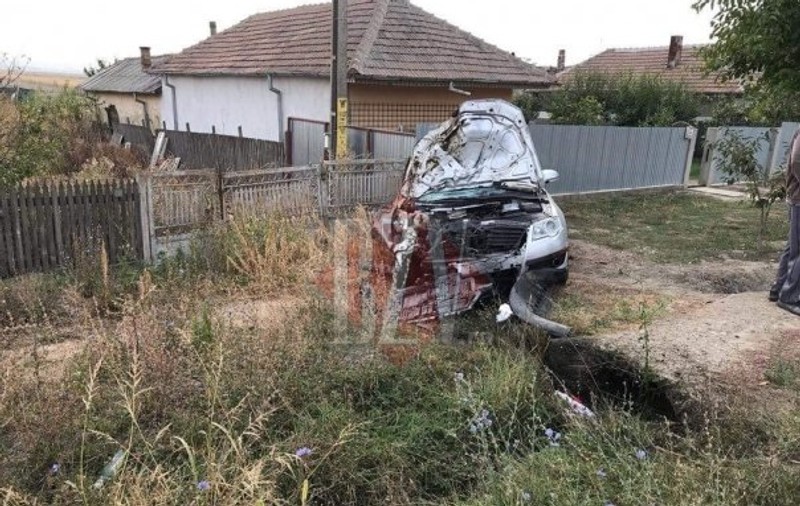 Patru cai lăsați liberi au fost uciși de o mașină, în Vaslui. Șoferul a scăpat ca printr-o minune