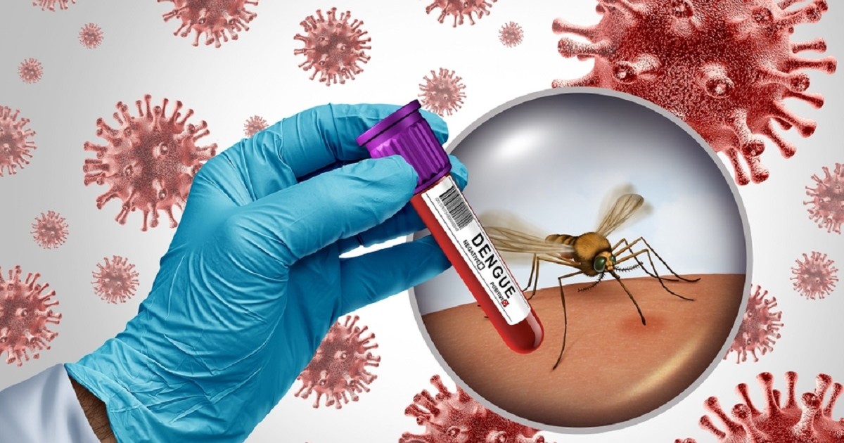 Ilustrație cu virusul febrei Dengue si cu o mana, cu o manusa albastra, care tine o eprubeta cu sange, testat pentru febra dengue, dar si o imagine cu tantarul Aedes aegypti care transmite boala