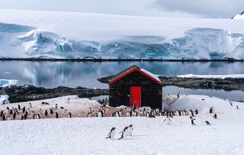 O cabană din lemn de culoare închisă, cu o ușă roșie, amplasată pe un țărm înzăpezit din Antarctica, unde se află o colonie numeroasă de pinguini, pe fundalul apelor înghețate și al unui ghețar masiv.