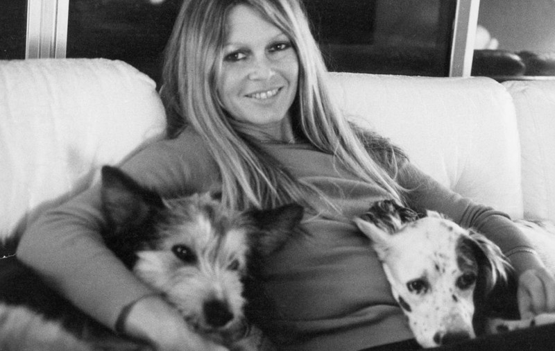 Brigitte Bardot a murit. Celebra actriță franceză avea 91 de ani