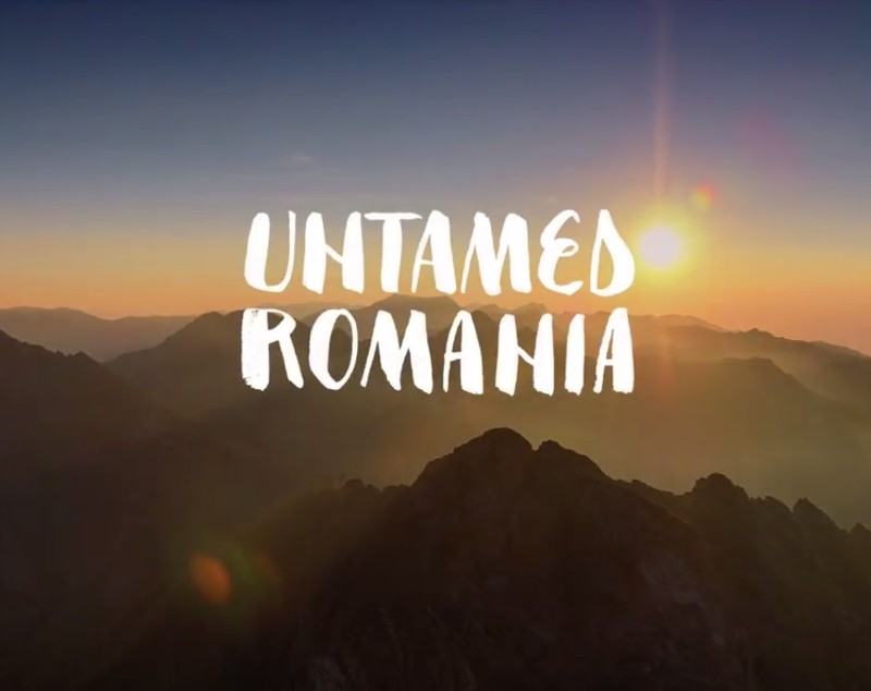 VIDEO România neîmblânzită, imagini fabuloase din pădurile României, într-un film britanic care ajunge azi și în România. Azi este Ziua Internațională a Pădurilor