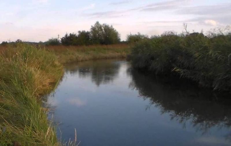 Un bărbat din Vrancea, aflat sub influenţa băuturilor alcoolice, s-a înecat în lacul în care a vrut să înoate