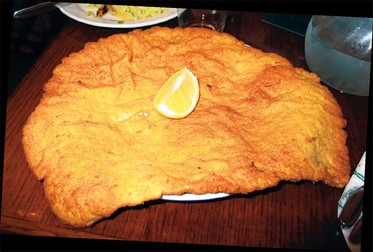 Arhiva foto