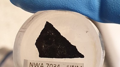 O mostră din meteoritul marțian cunoscut sub numele de „Black Beauty”