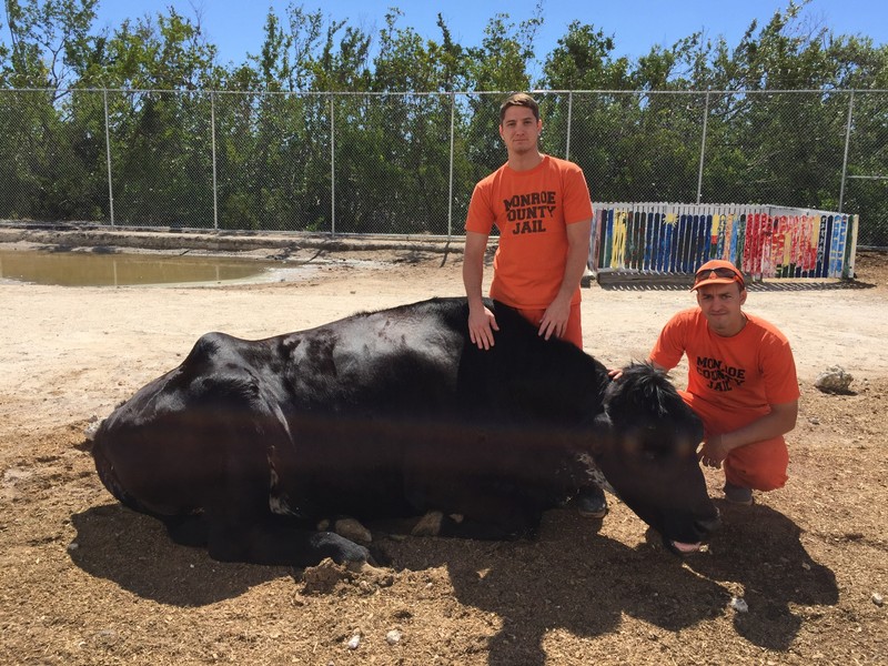 Grădină zoologică îngrijită de deținuți