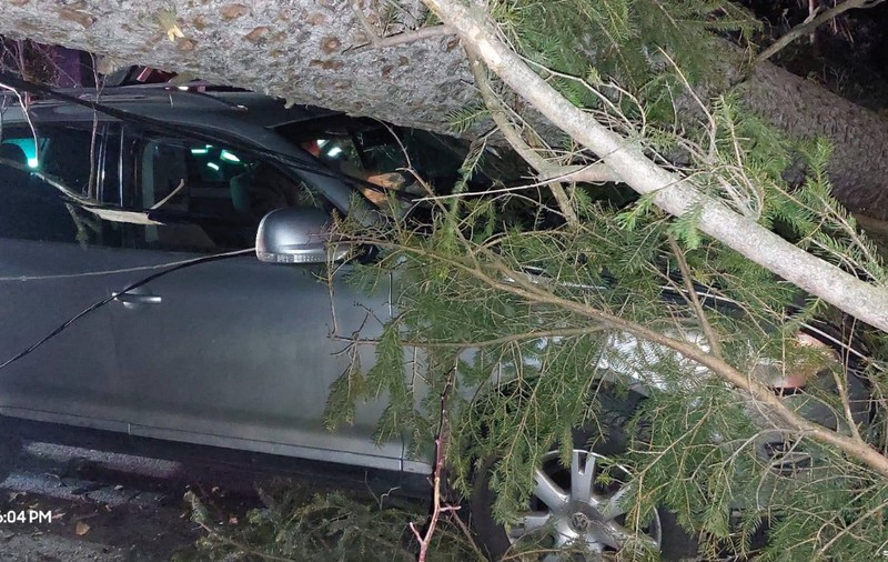 Furtună puternică pe Valea Prahovei: un stâlp a fost rupt, mai mulți copaci au fost doborâți de vânt, iar unul a căzut pe o mașină cu 3 oameni