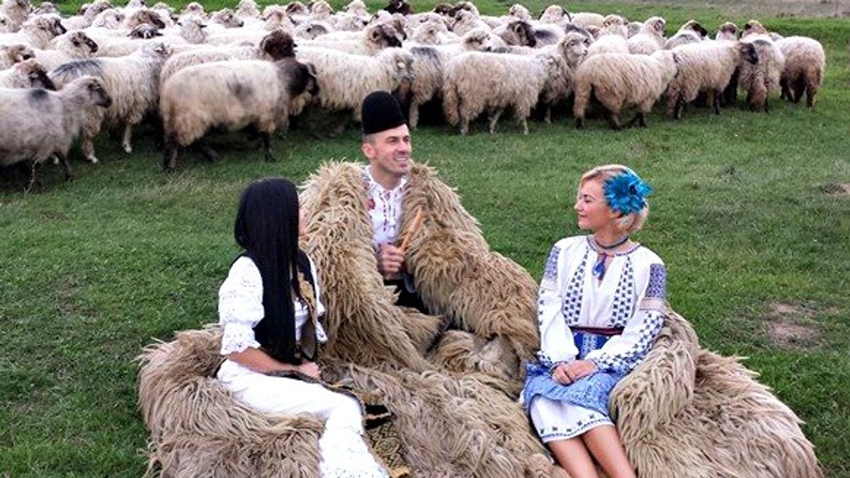Arhiva foto