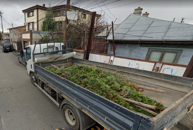 O remorcă plină de brăduți tuia se afla în afara curții