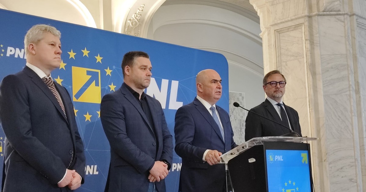 Ilie Bolojan și liderii PNL, declarații