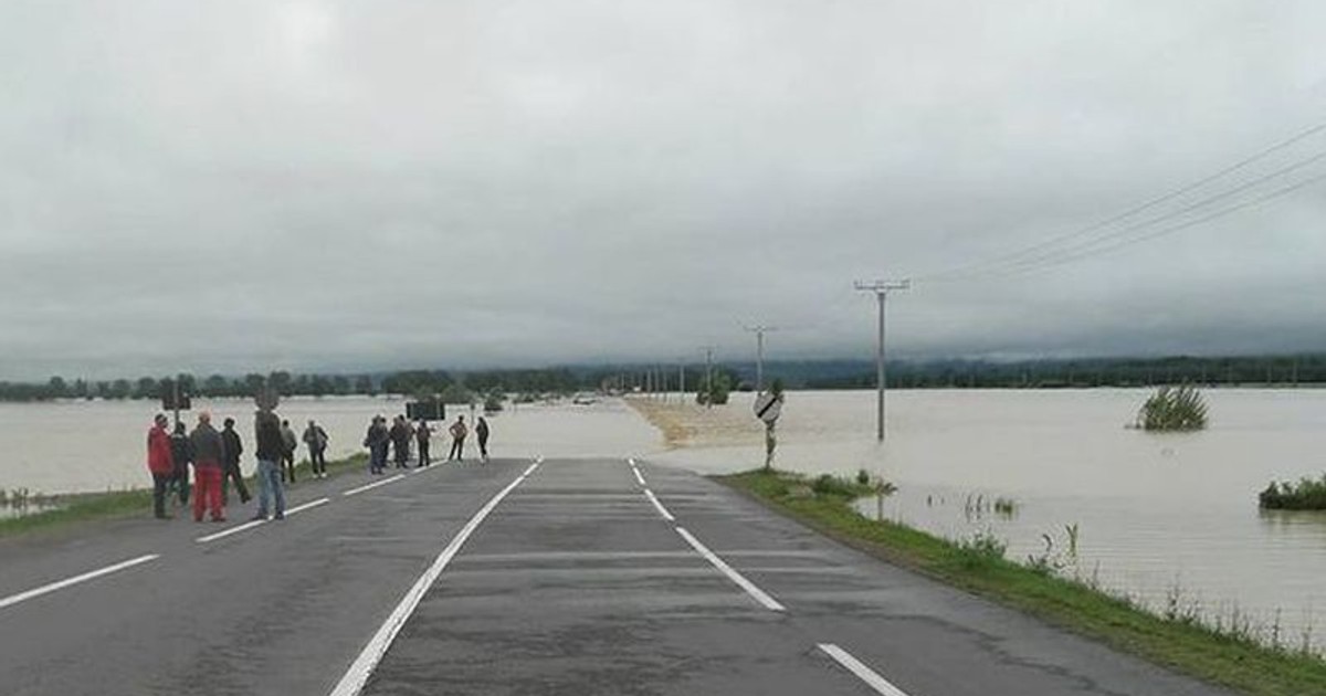 Arhiva foto