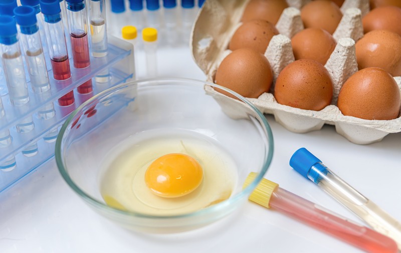 Infecția cu Salmonella - simptome, tratament, prevenție